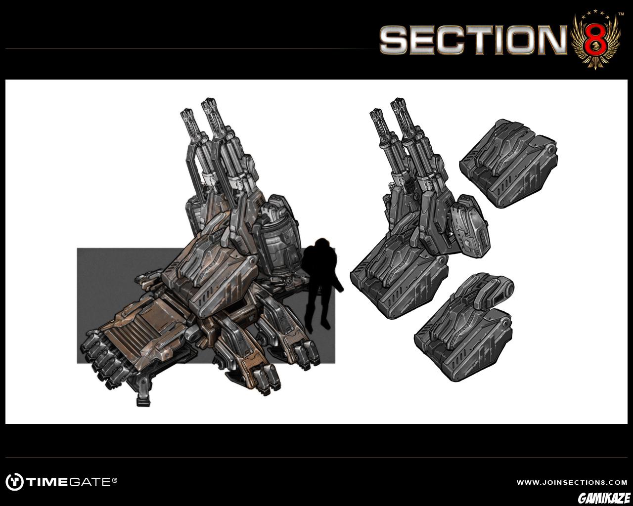 Section 8