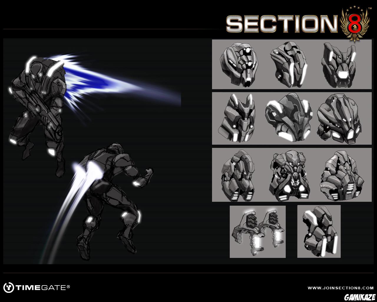 Section 8