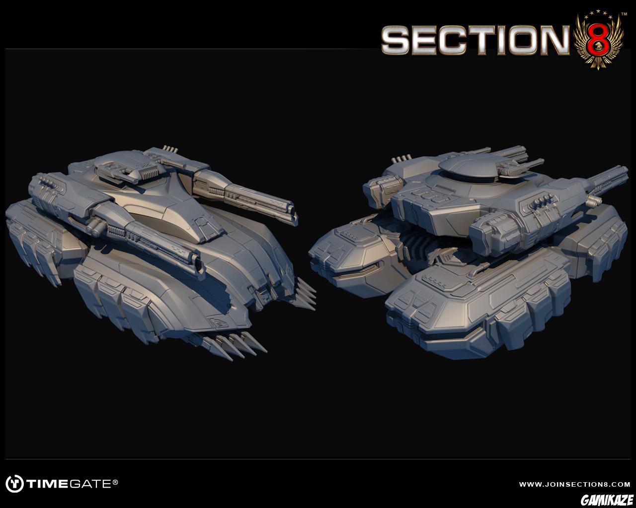 Section 8