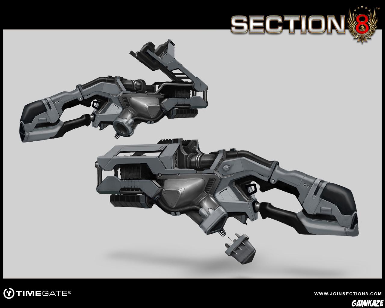 Section 8