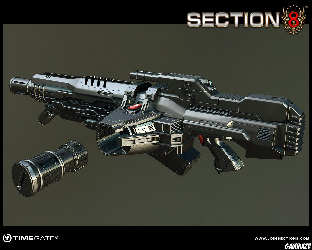 Section 8