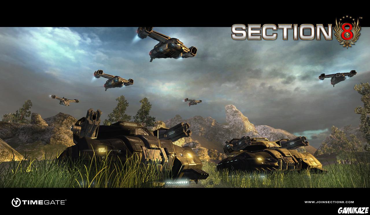 Section 8