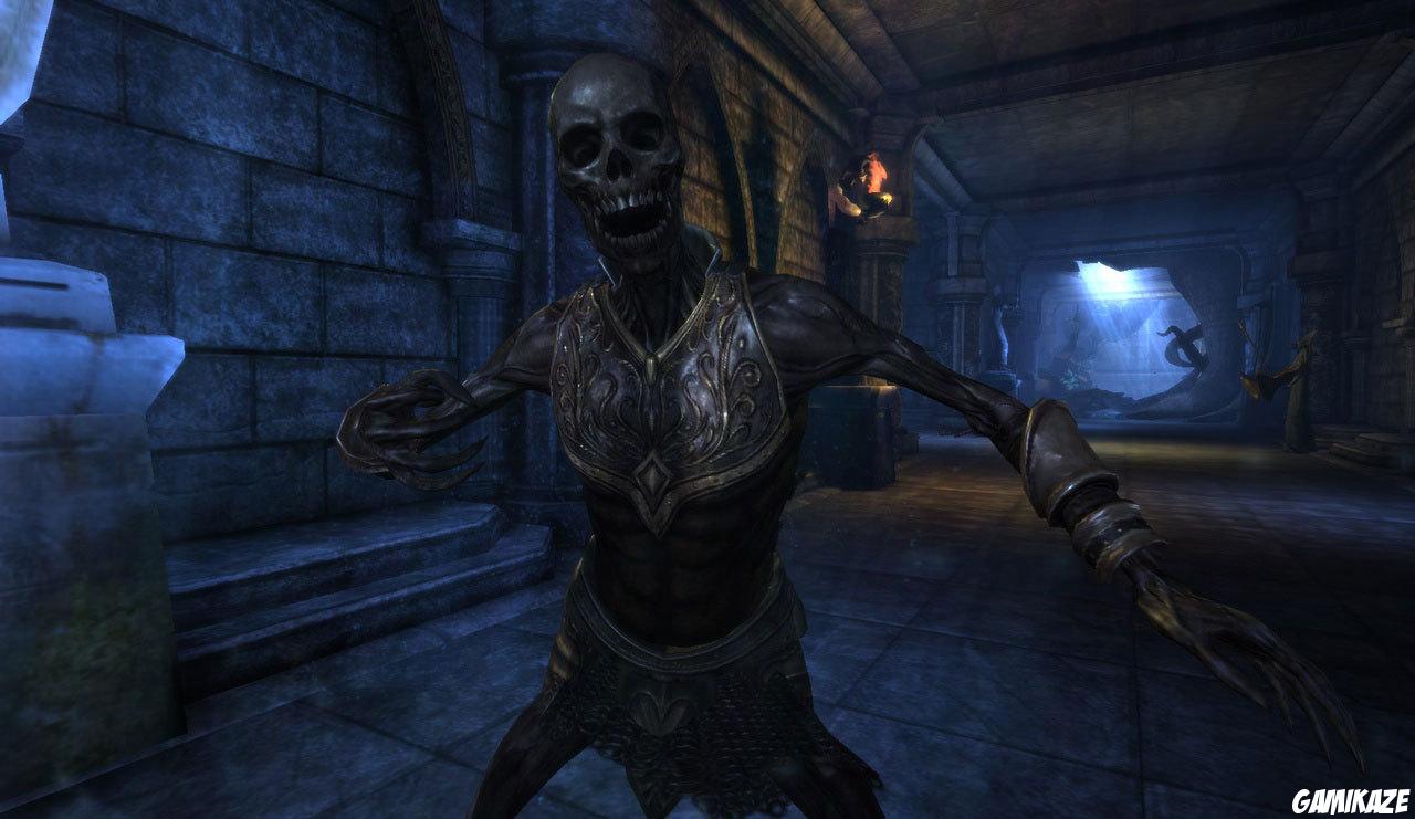 Dragon Age : Origins