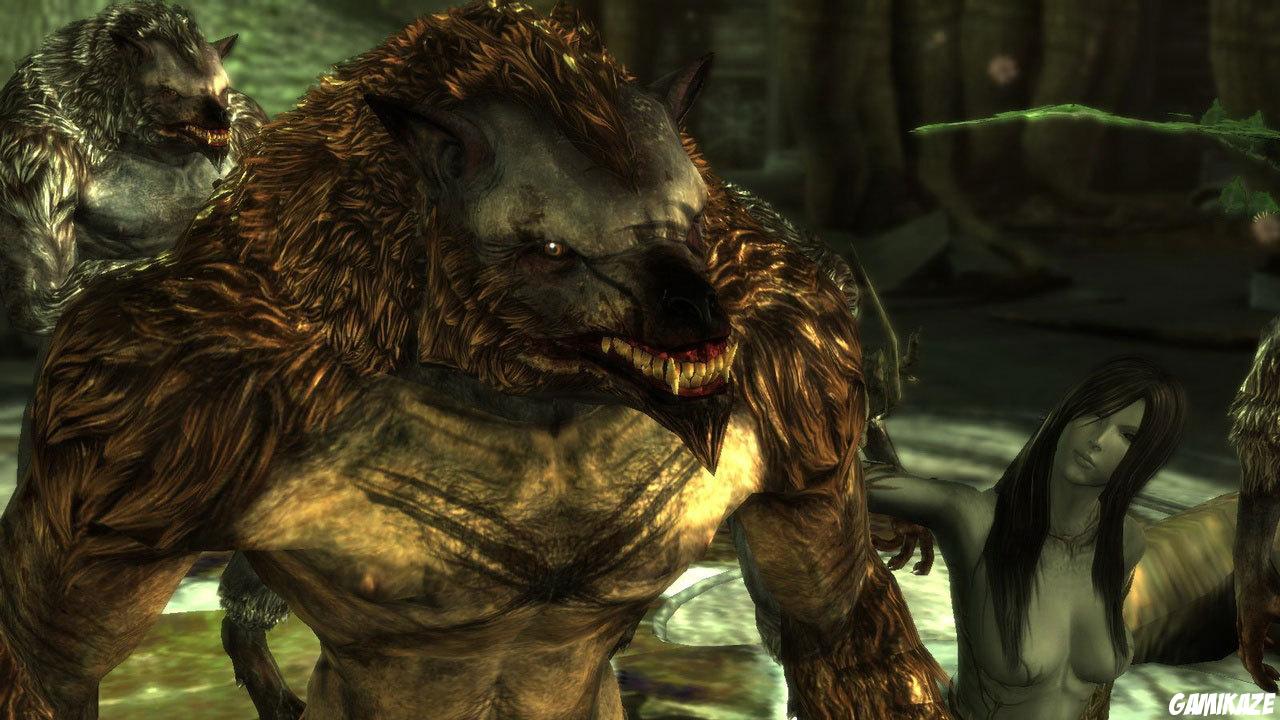 Dragon Age : Origins