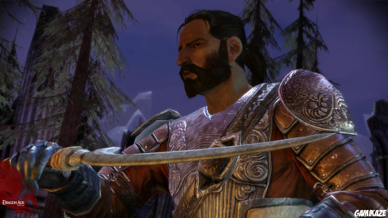 Dragon Age : Origins