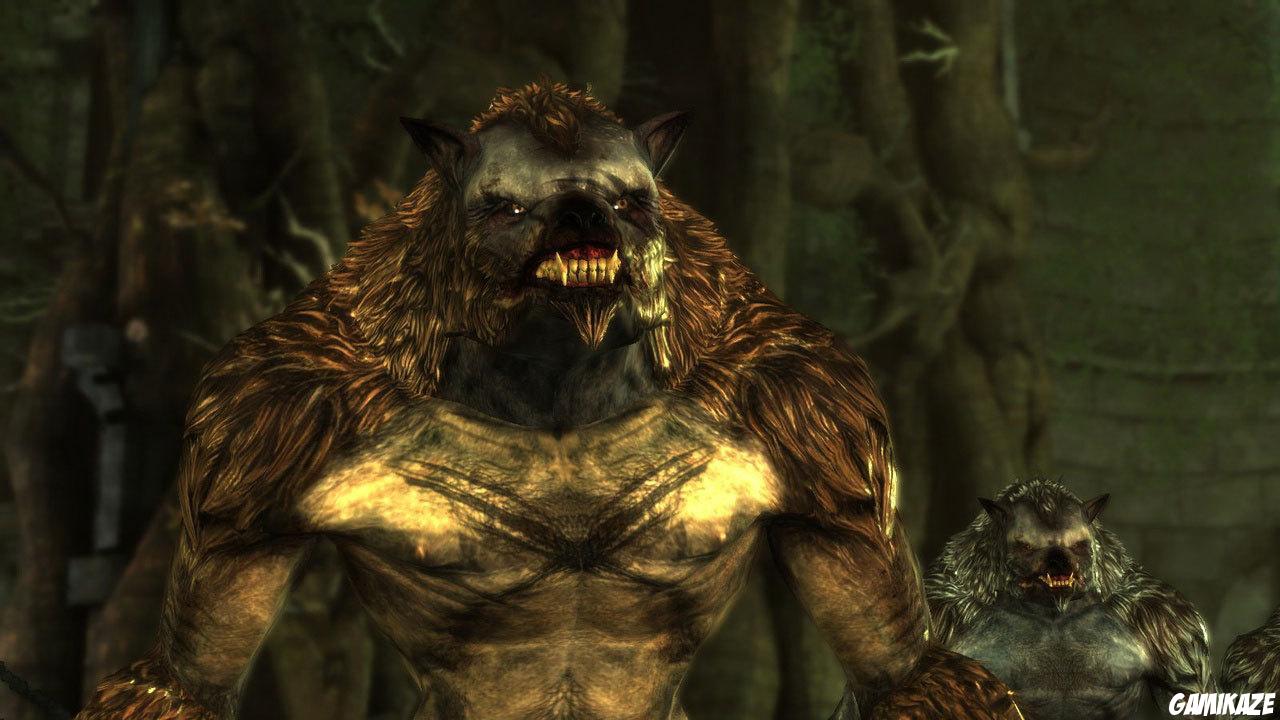 Dragon Age : Origins