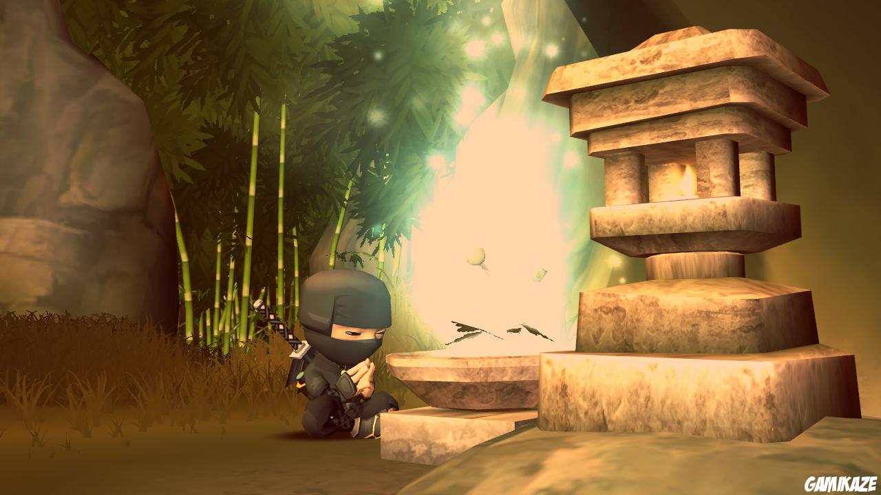 Mini Ninjas