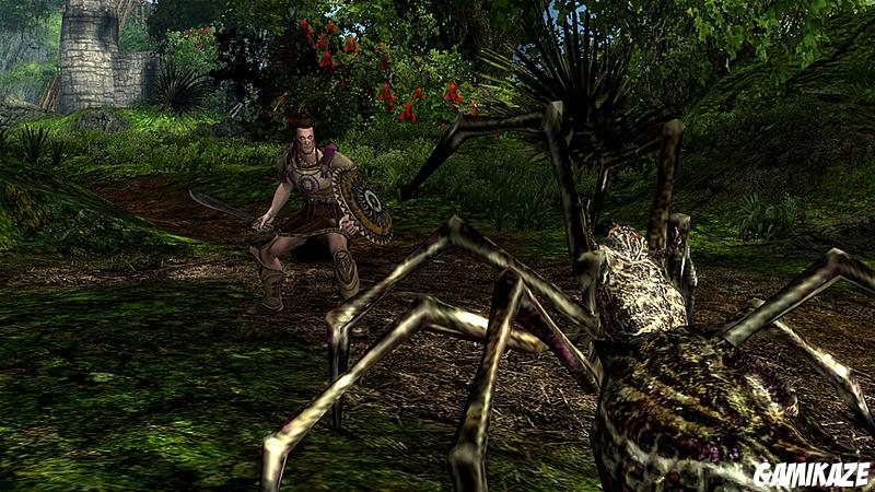 Age of Conan : Hyborian Adventures