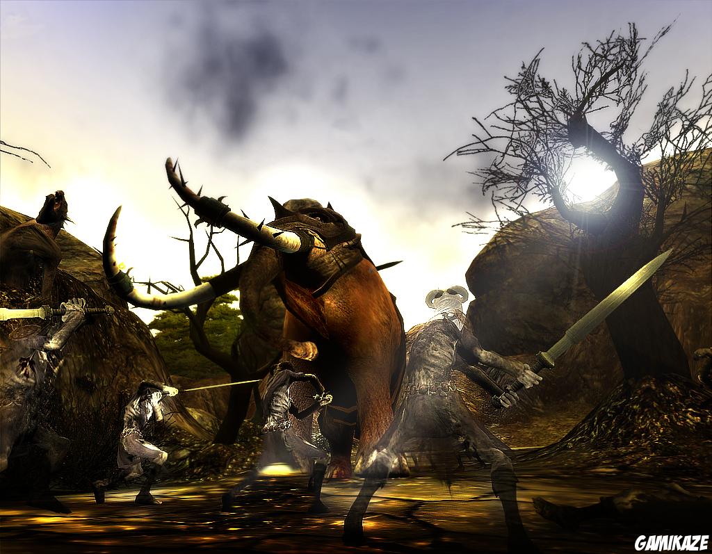 Age of Conan : Hyborian Adventures
