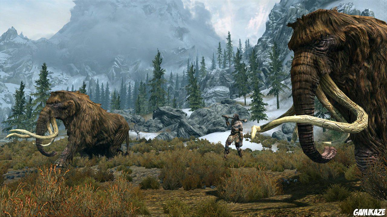 The Elder Scrolls V : Skyrim