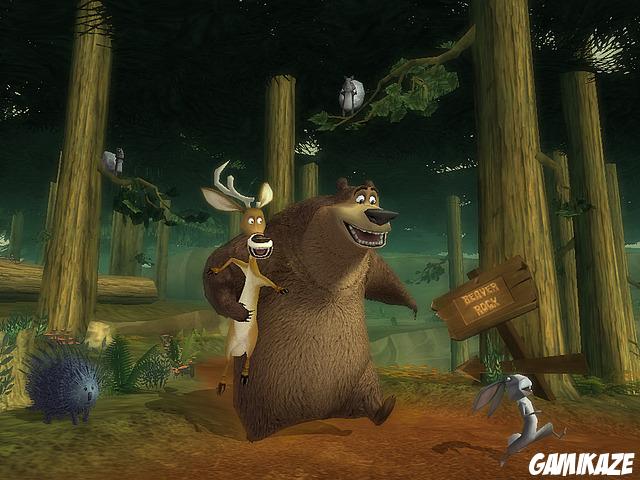 Les Rebelles de la Forêt