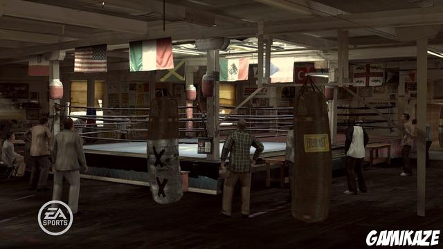 Fight Night : Round 3