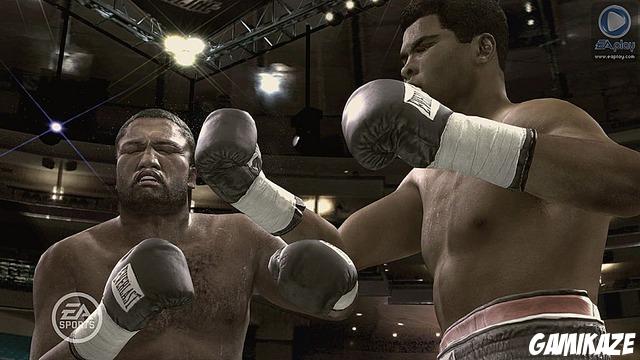 Fight Night : Round 3