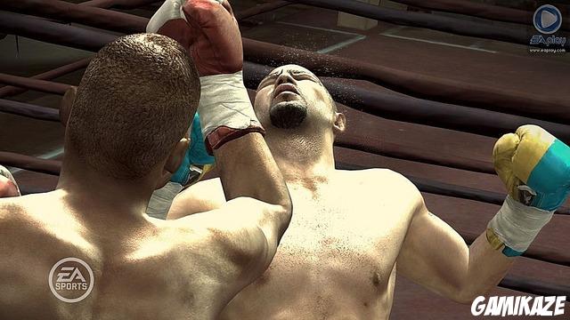 Fight Night : Round 3