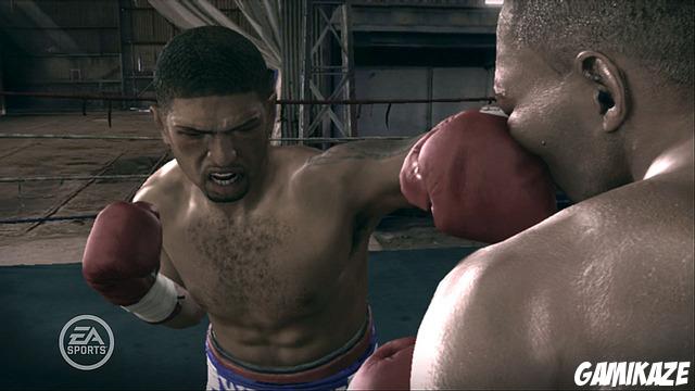 Fight Night : Round 3