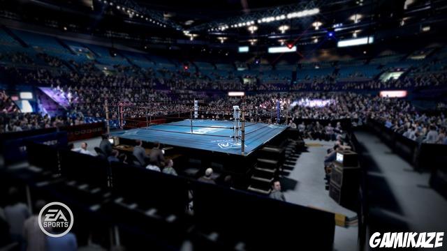 Fight Night : Round 3