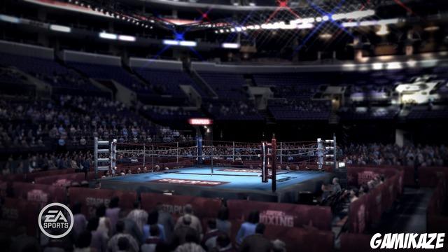 Fight Night : Round 3