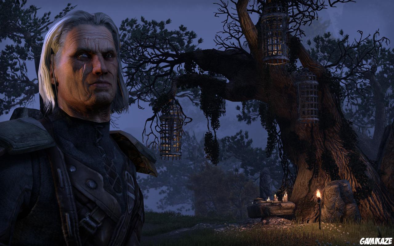 The Elder Scrolls Online