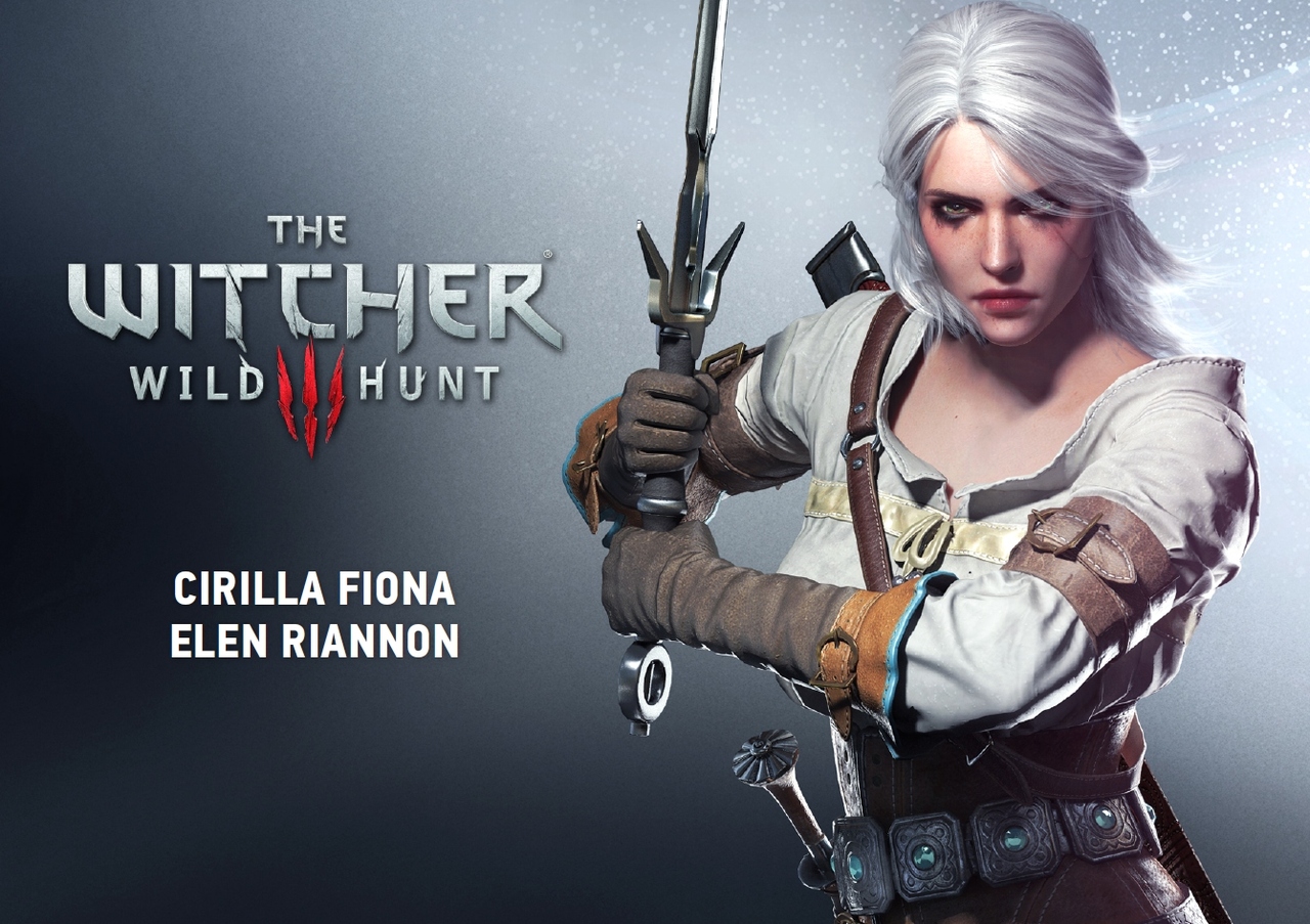 The Witcher 3 : Wild Hunt