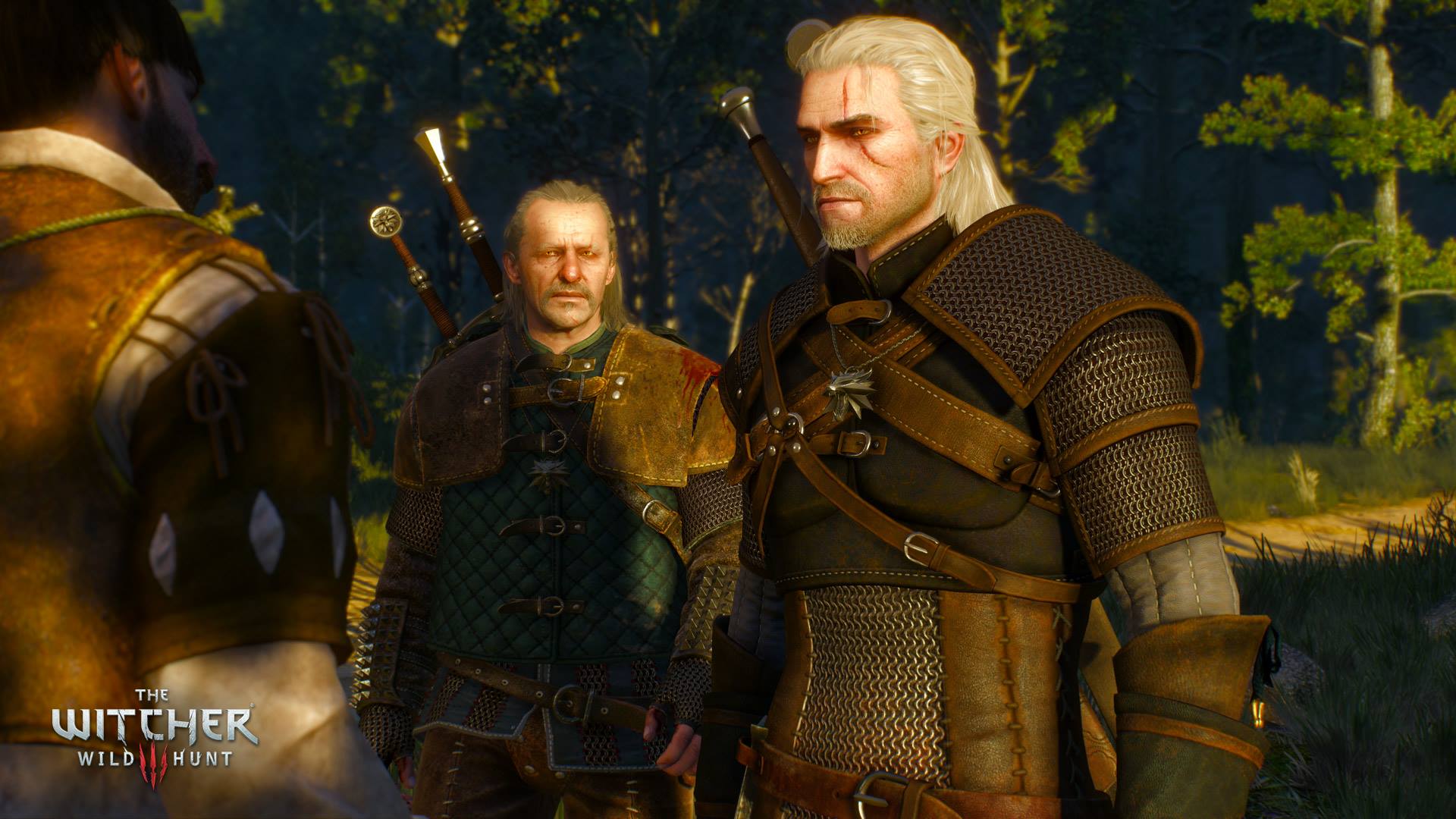The Witcher 3 : Wild Hunt