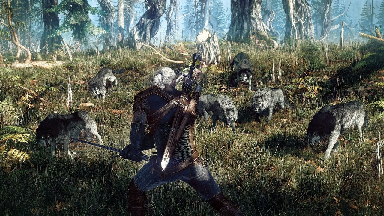 The Witcher 3 : Wild Hunt