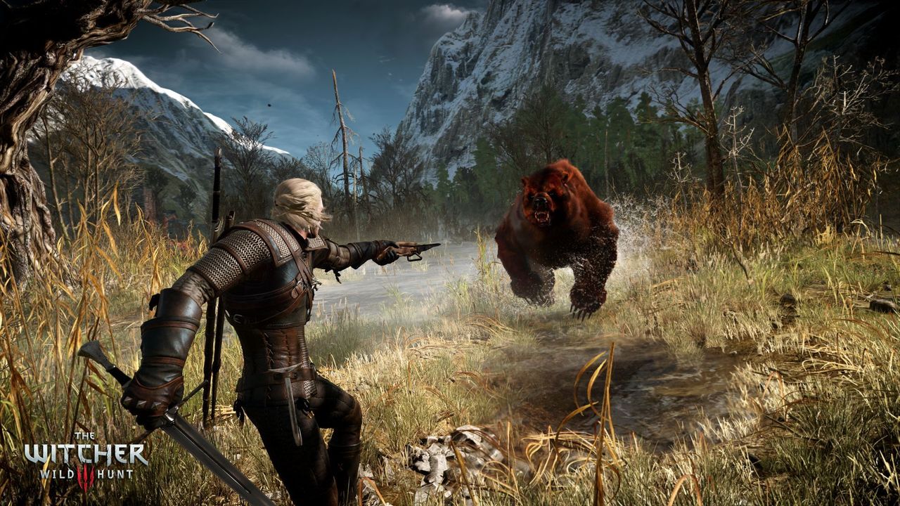 The Witcher 3 : Wild Hunt