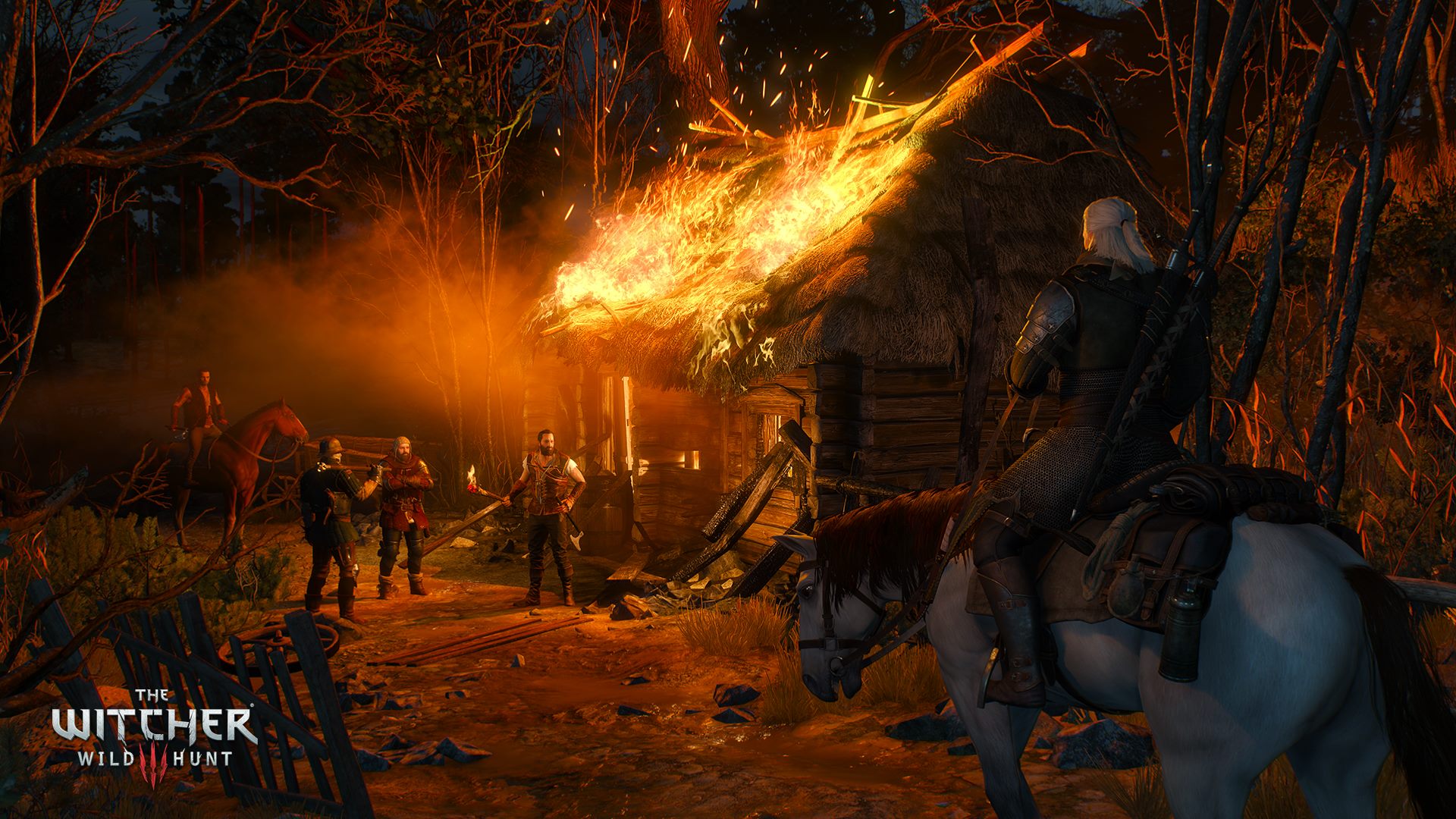 The Witcher 3 : Wild Hunt
