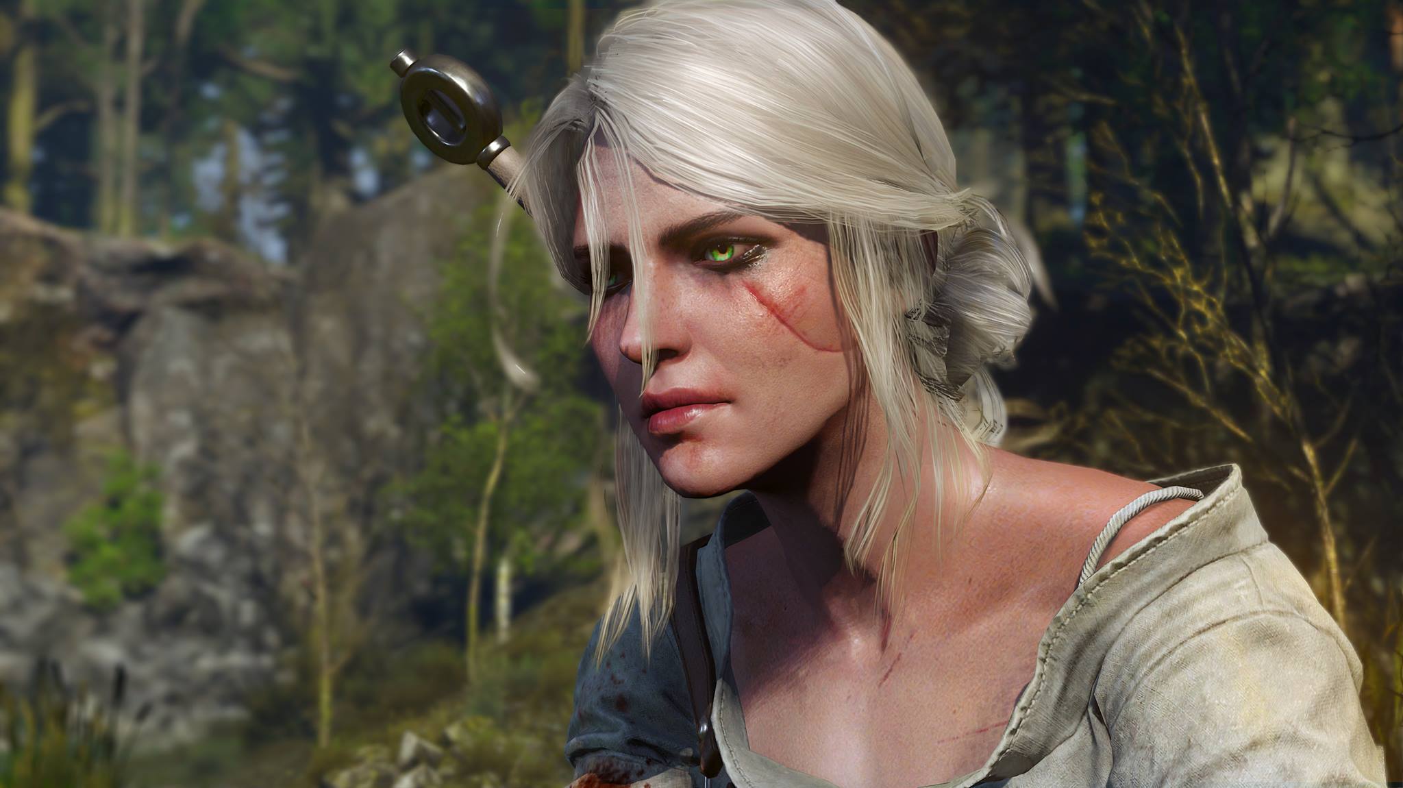 The Witcher 3 : Wild Hunt