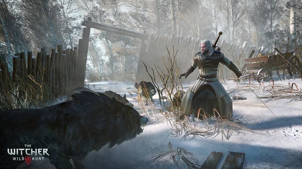 The Witcher 3 : Wild Hunt
