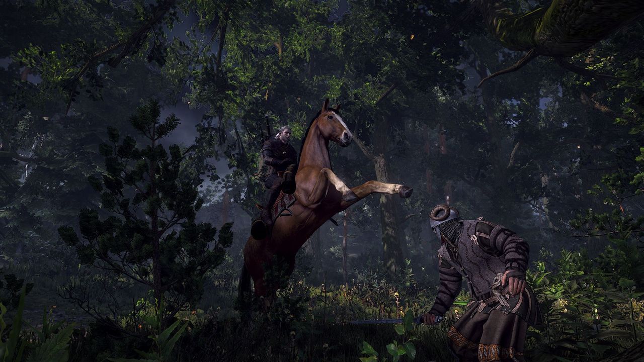 The Witcher 3 : Wild Hunt