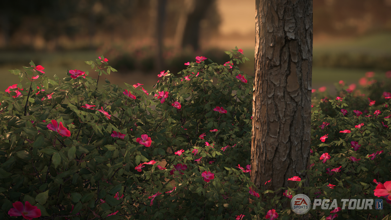 EA Sports Rory McIlroy PGA Tour 15