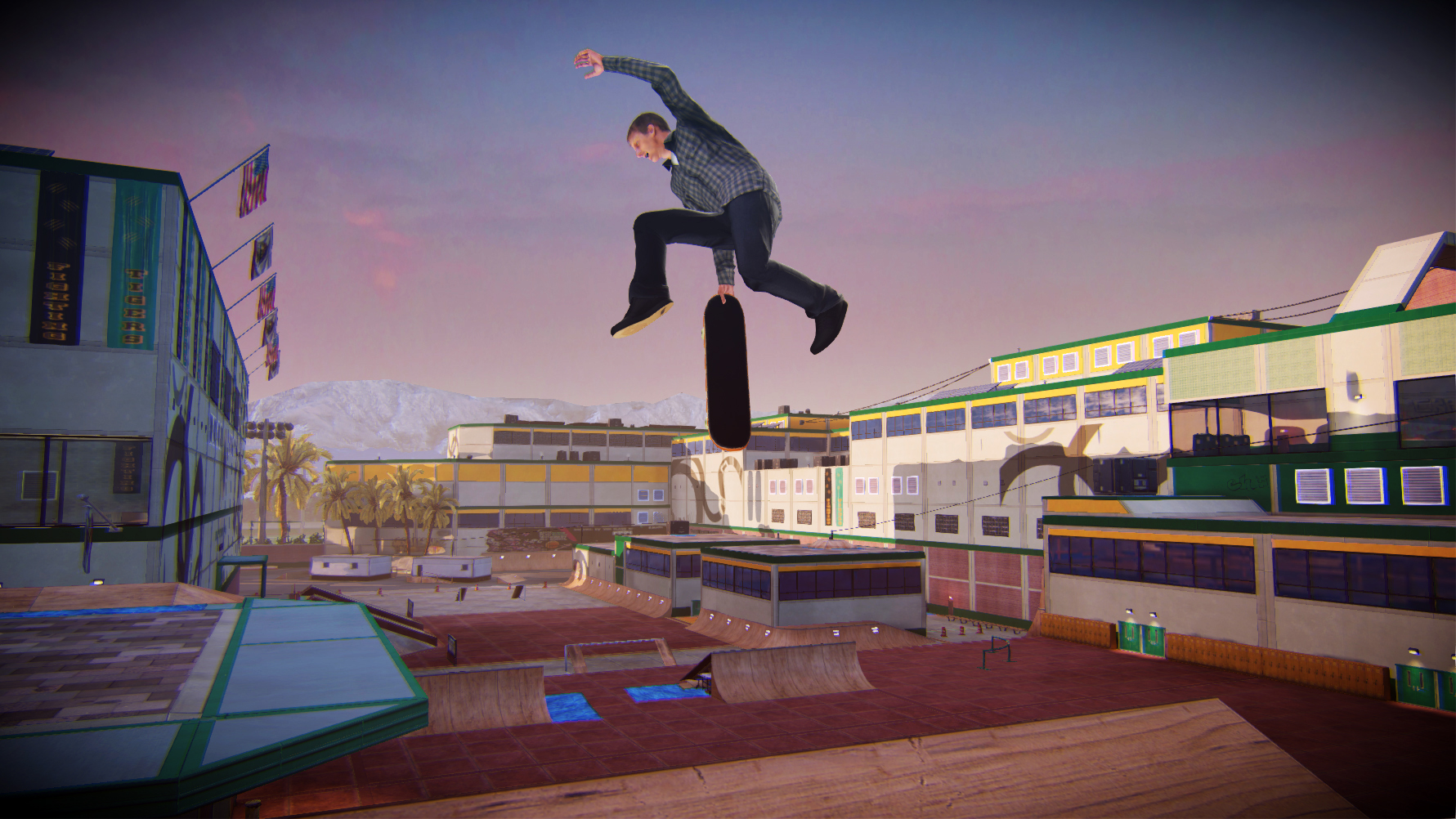 Tony Hawk's Pro Skater 5