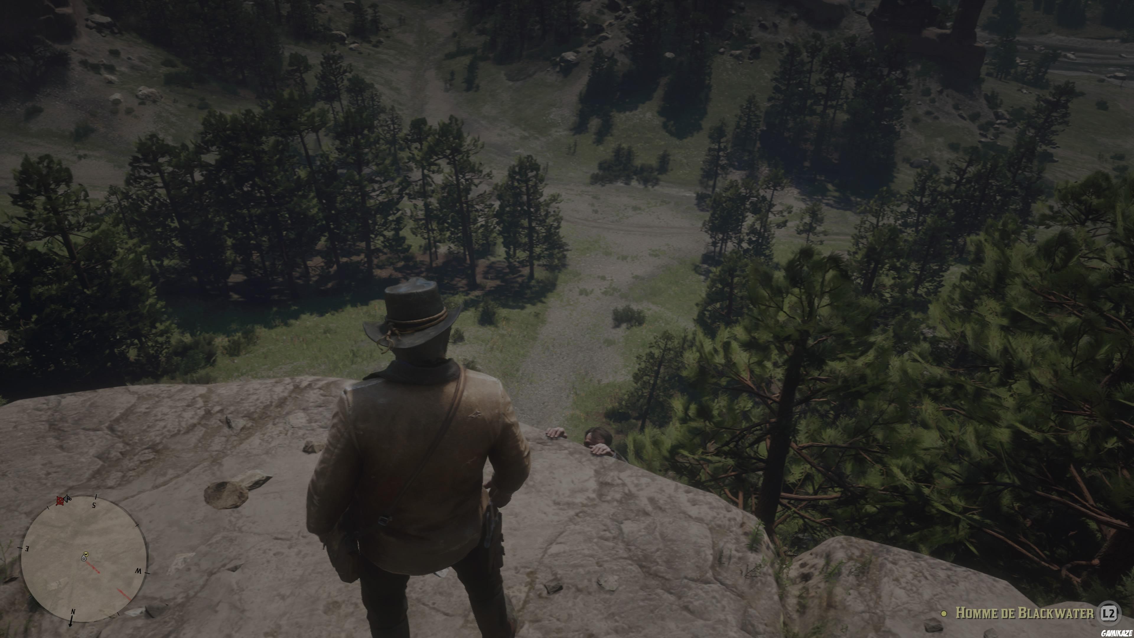 Red Dead Redemption 2