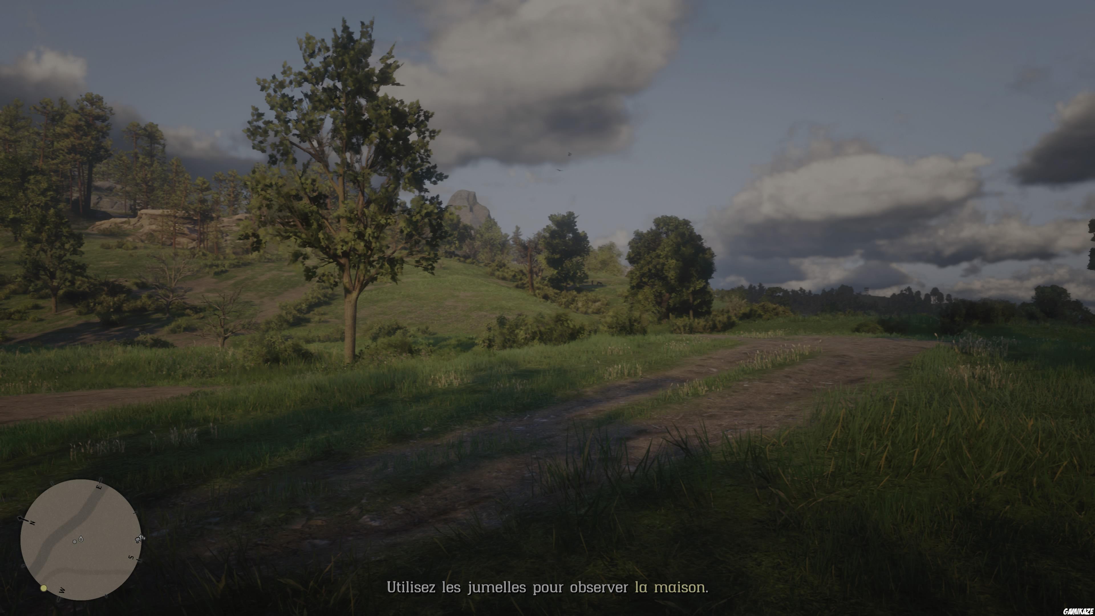 Red Dead Redemption 2