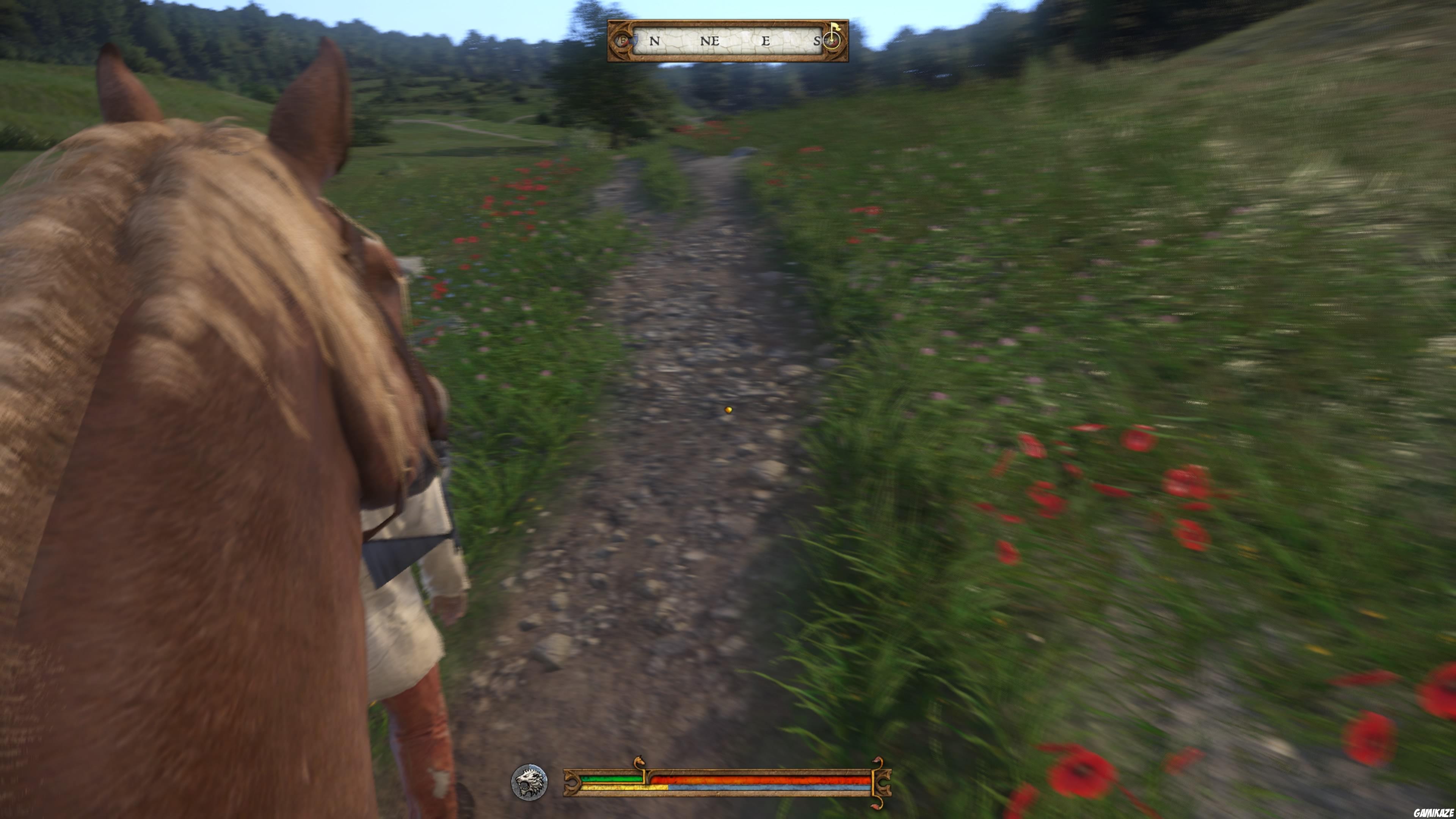 Kingdom Come : Deliverance