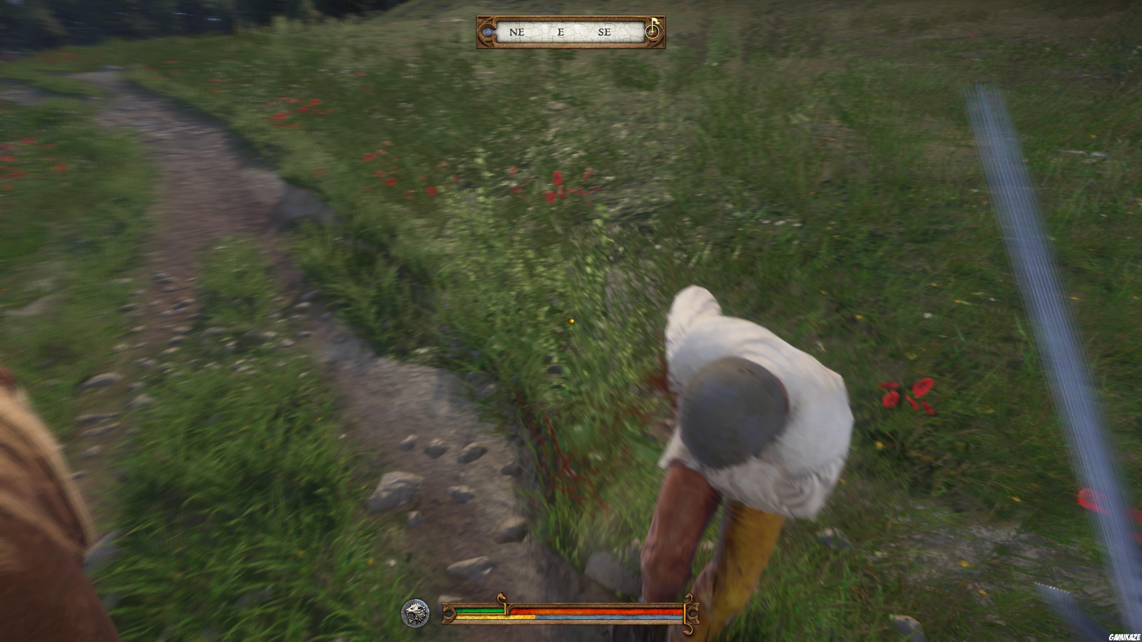 Kingdom Come : Deliverance