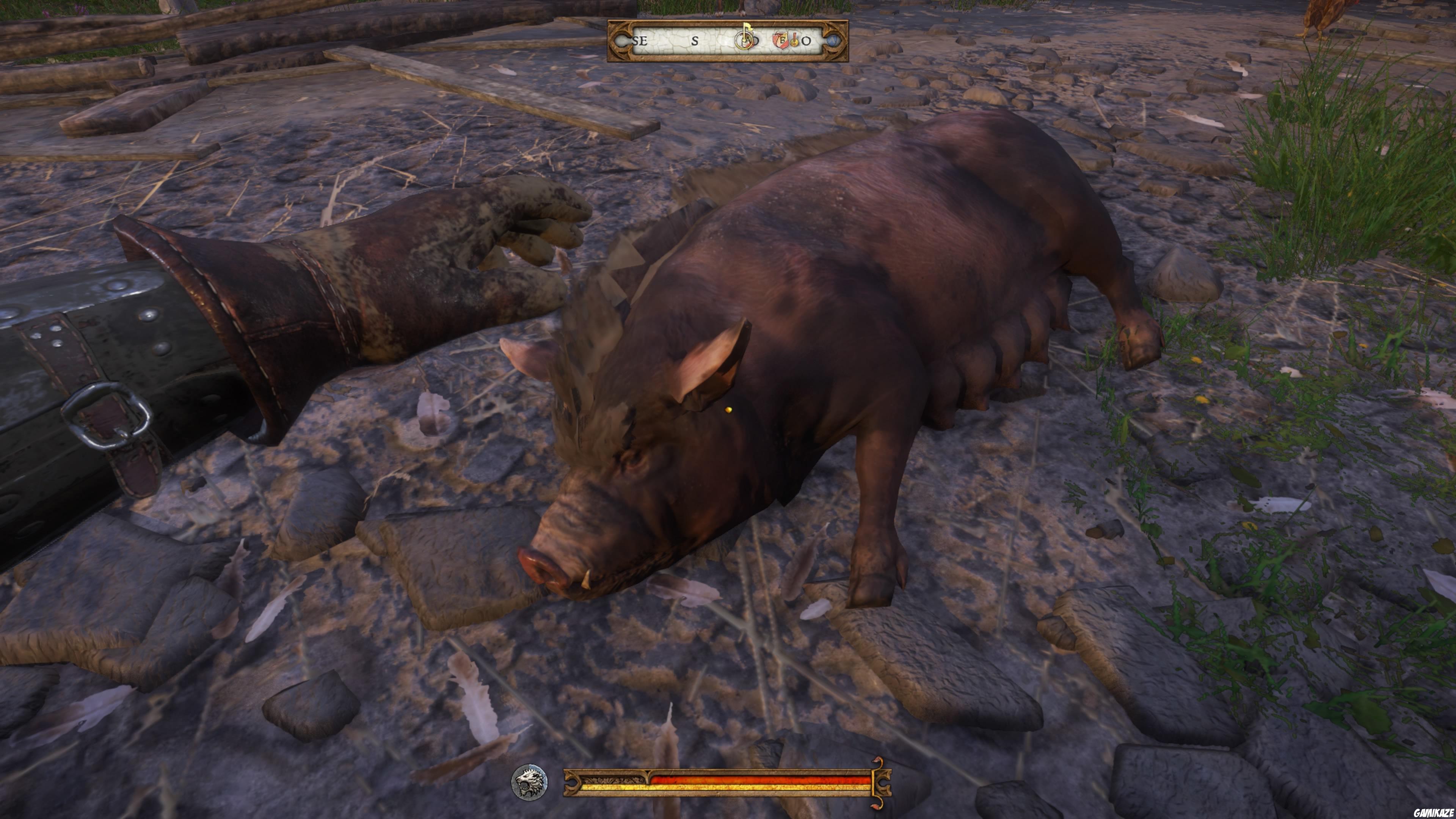 Kingdom Come : Deliverance