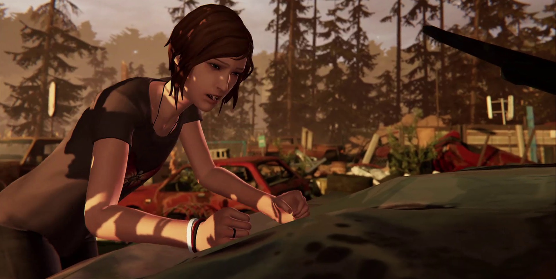 Life is Strange Before the Storm