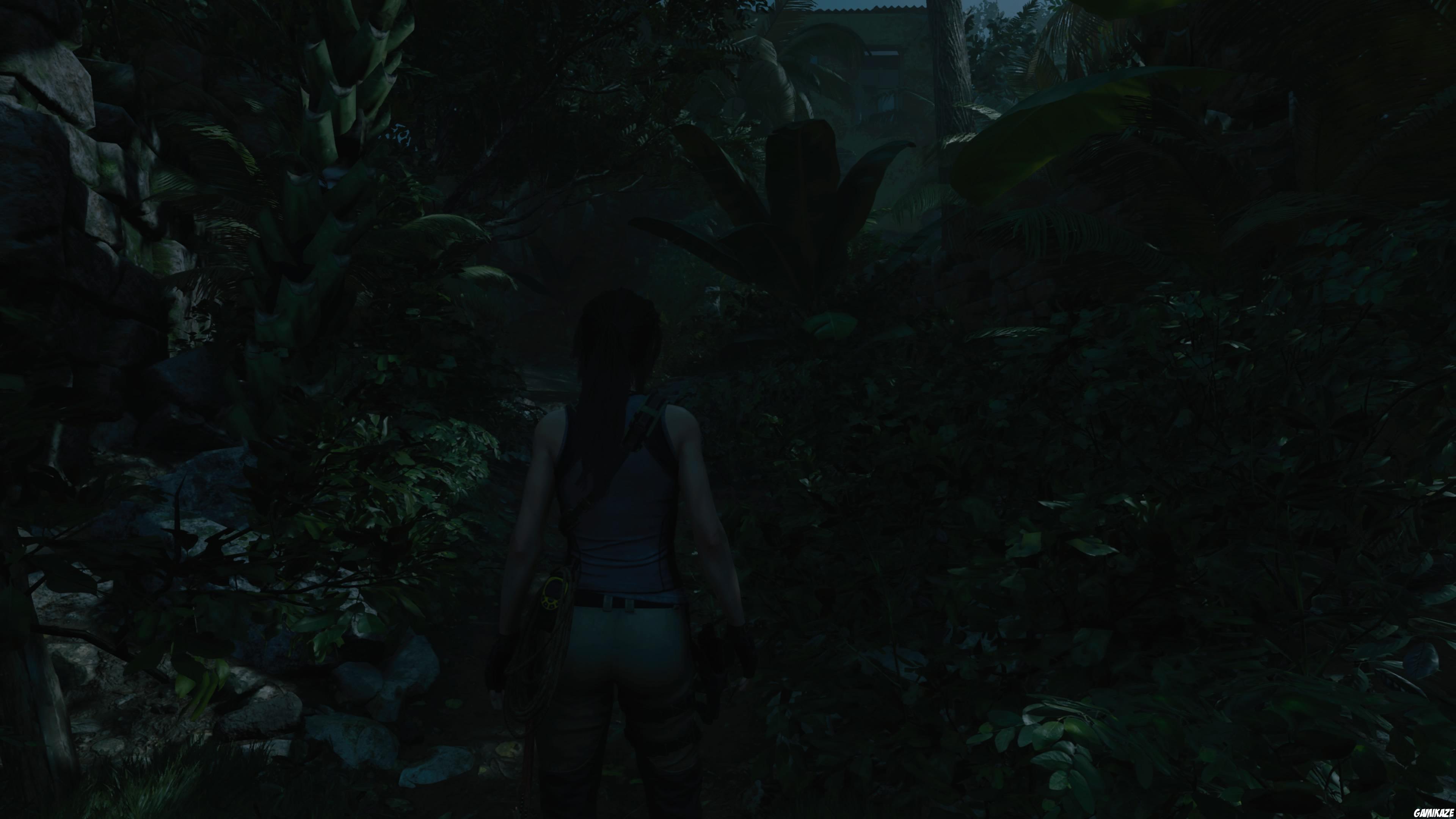Shadow of The Tomb Raider