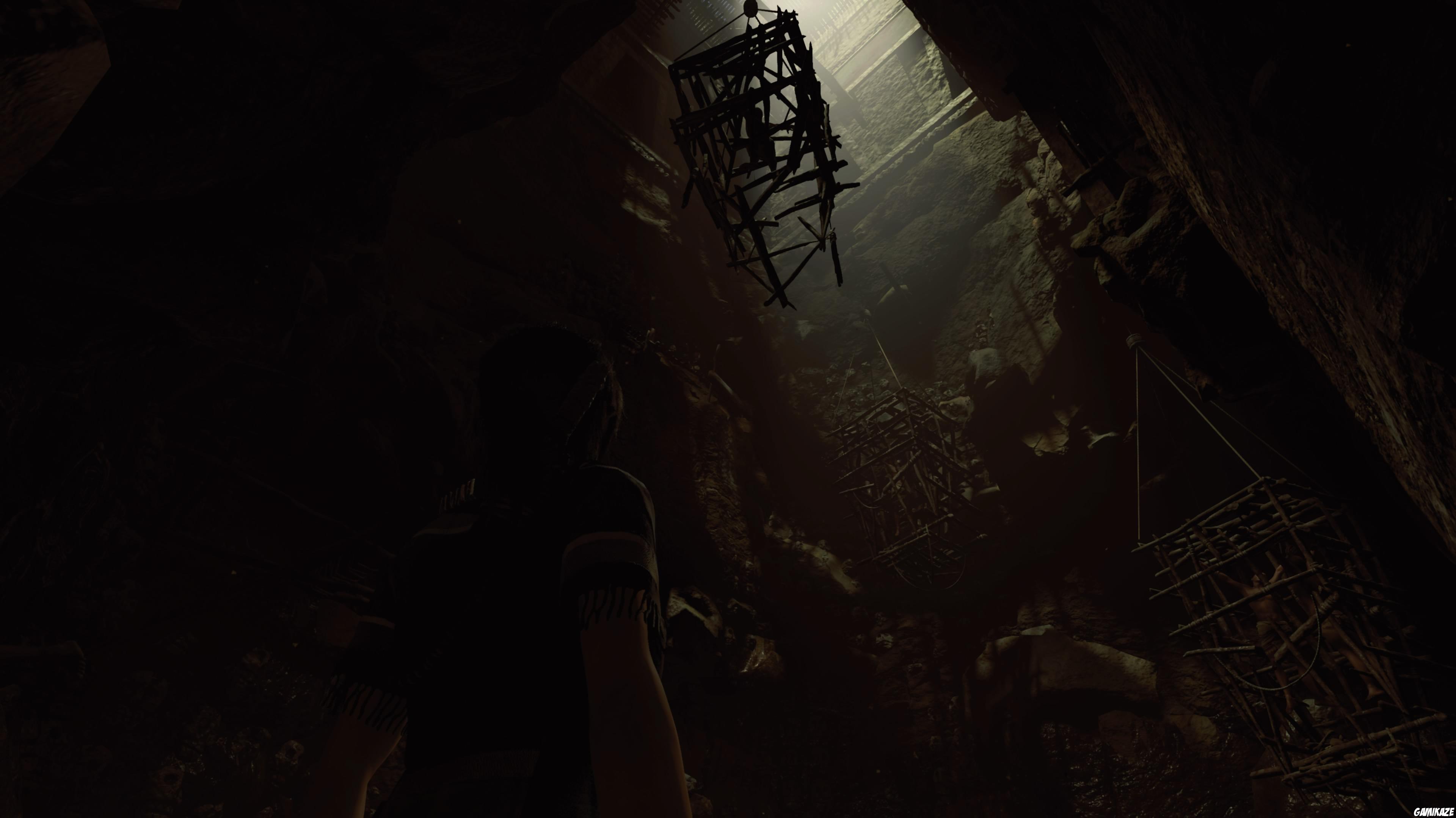 Shadow of The Tomb Raider