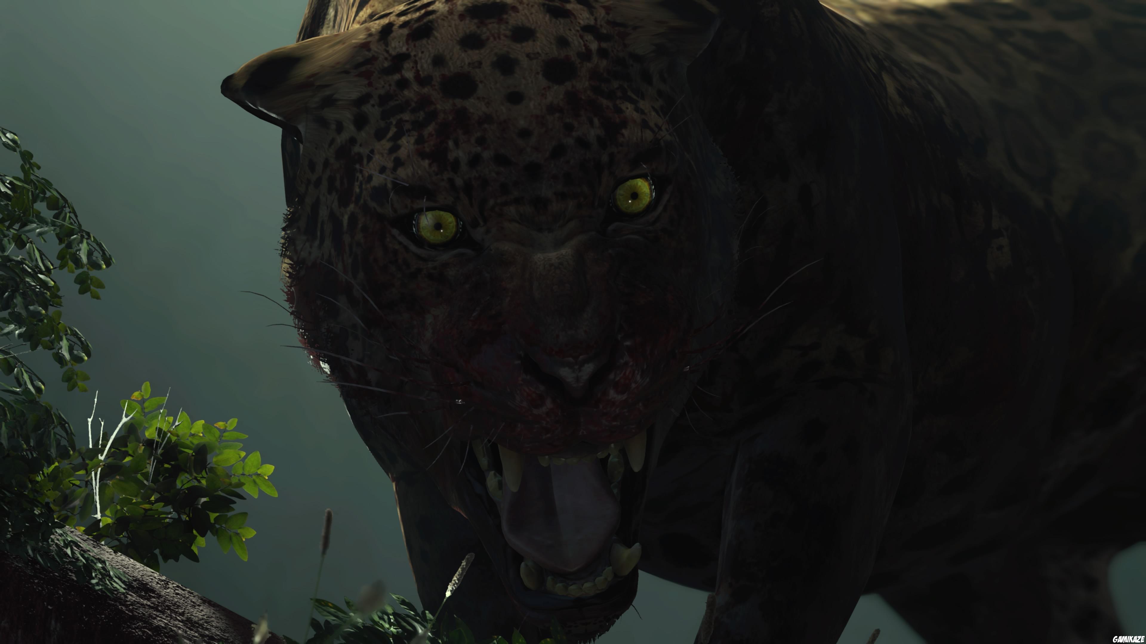 Shadow of The Tomb Raider