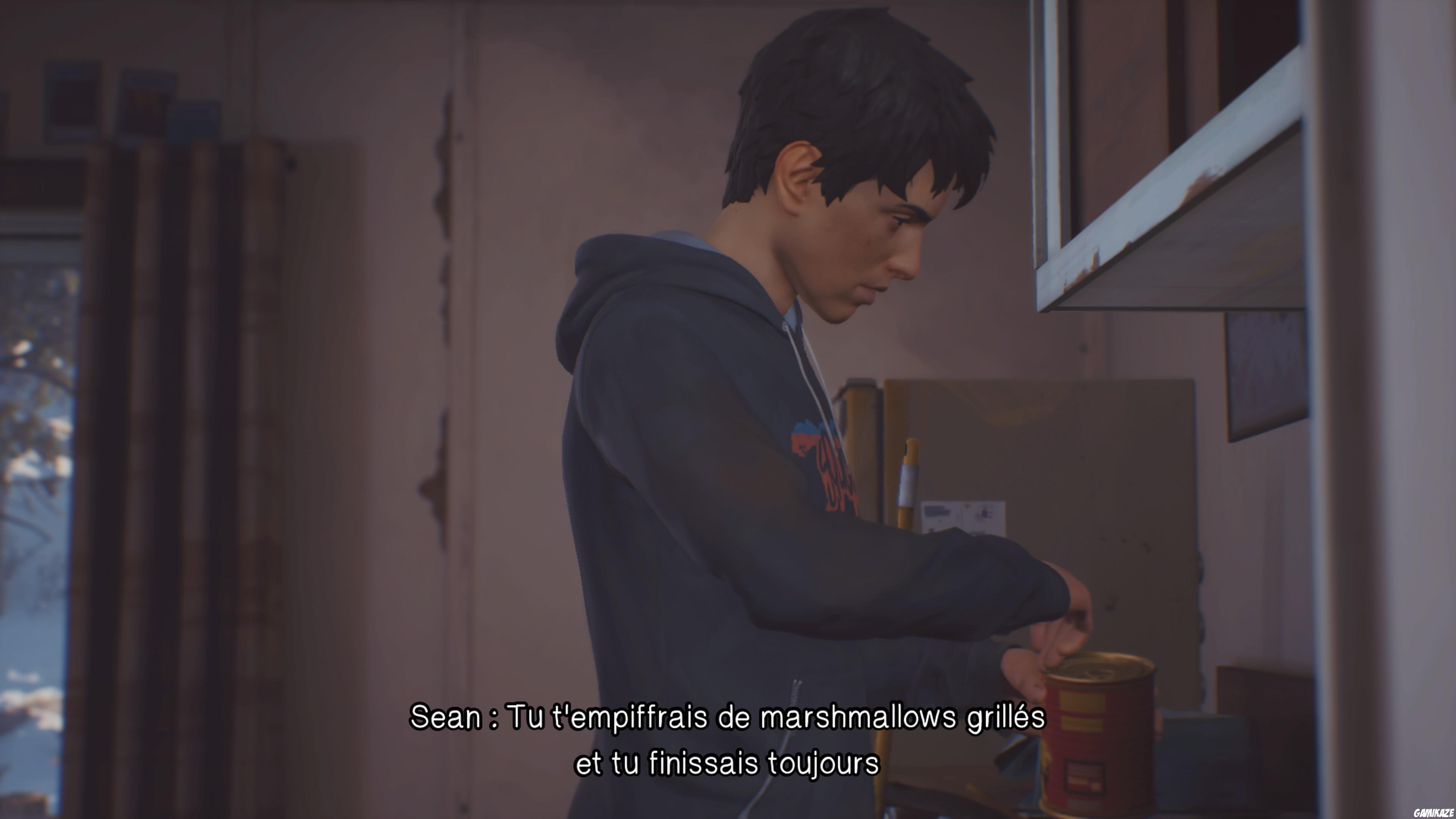 Life is Strange 2