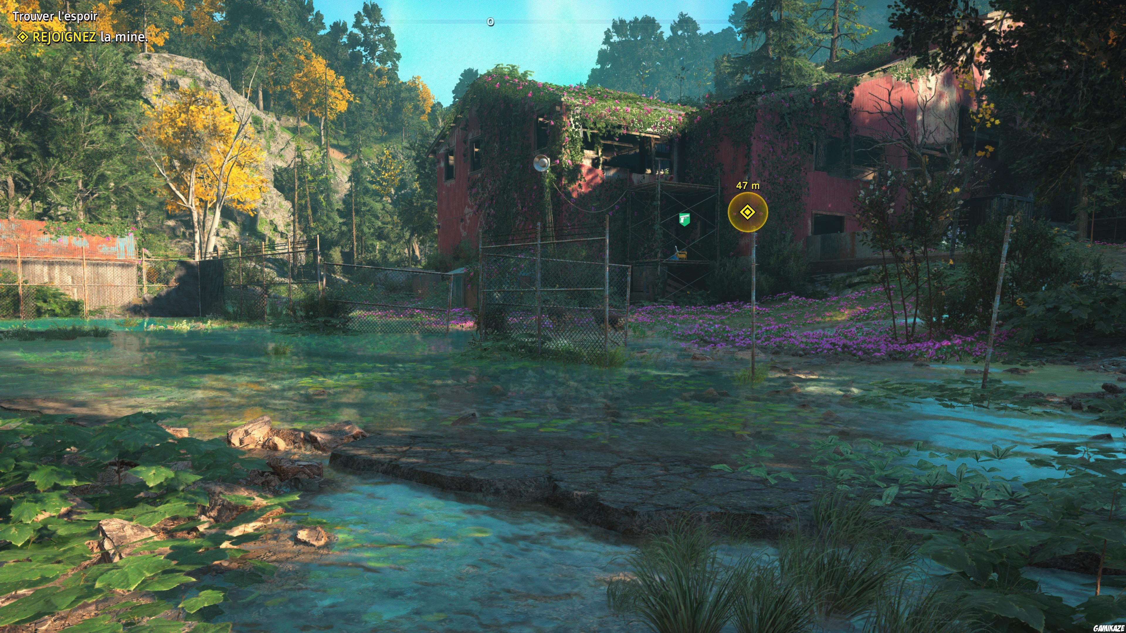 Far Cry : New Dawn