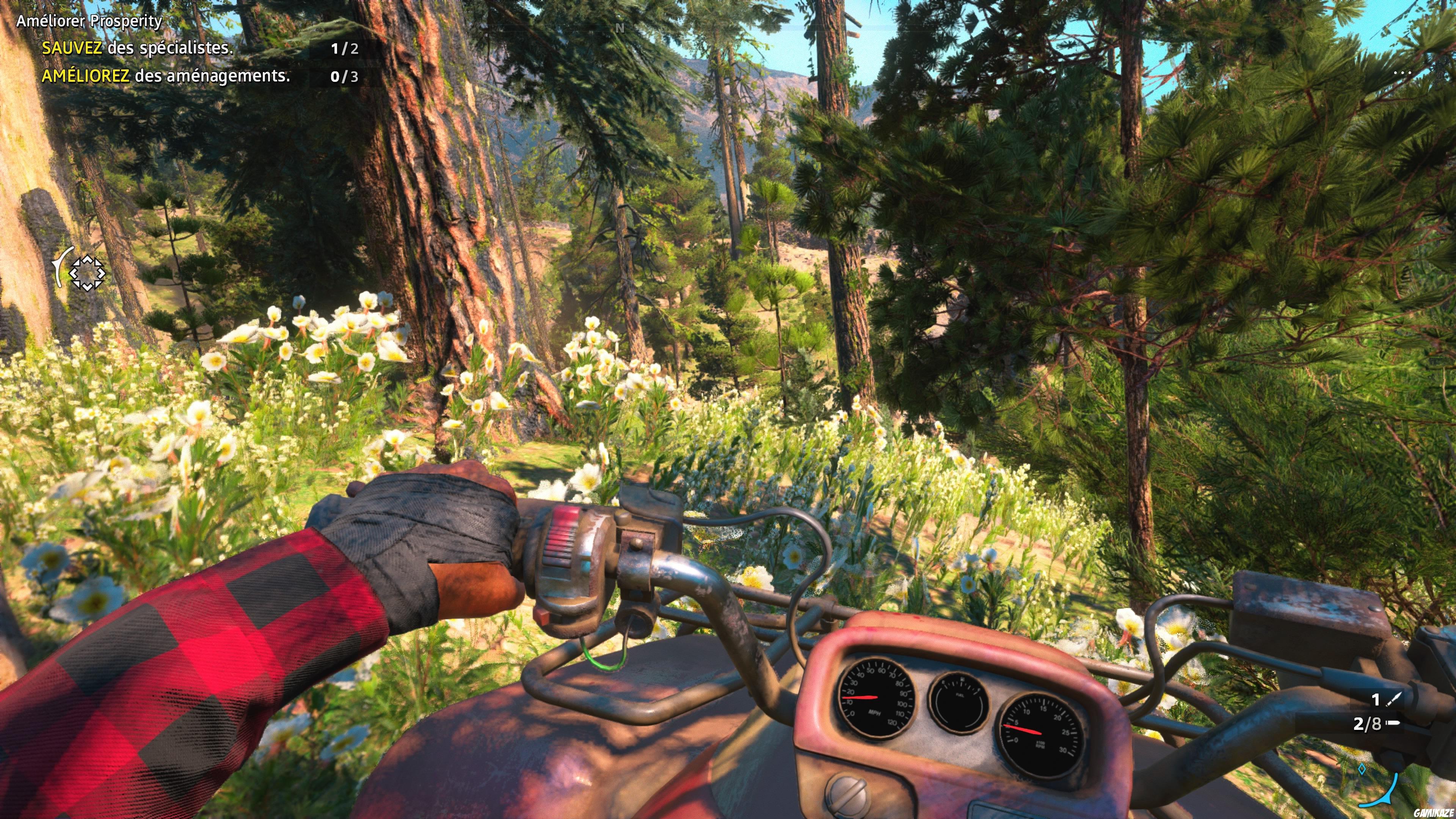 Far Cry : New Dawn