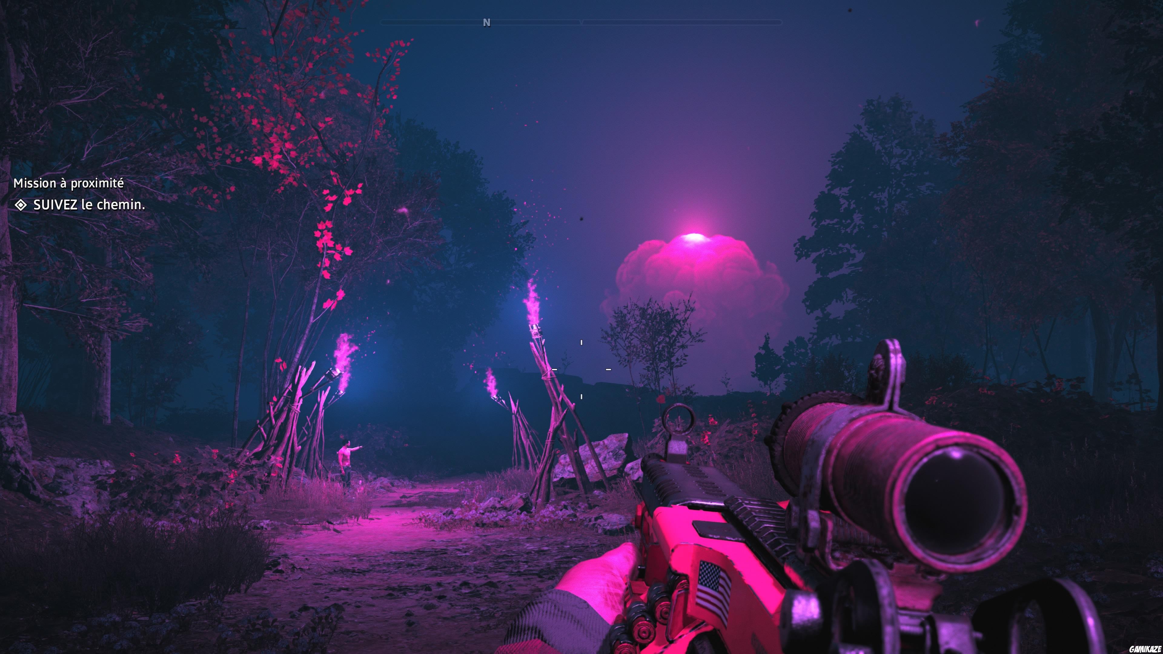 Far Cry : New Dawn