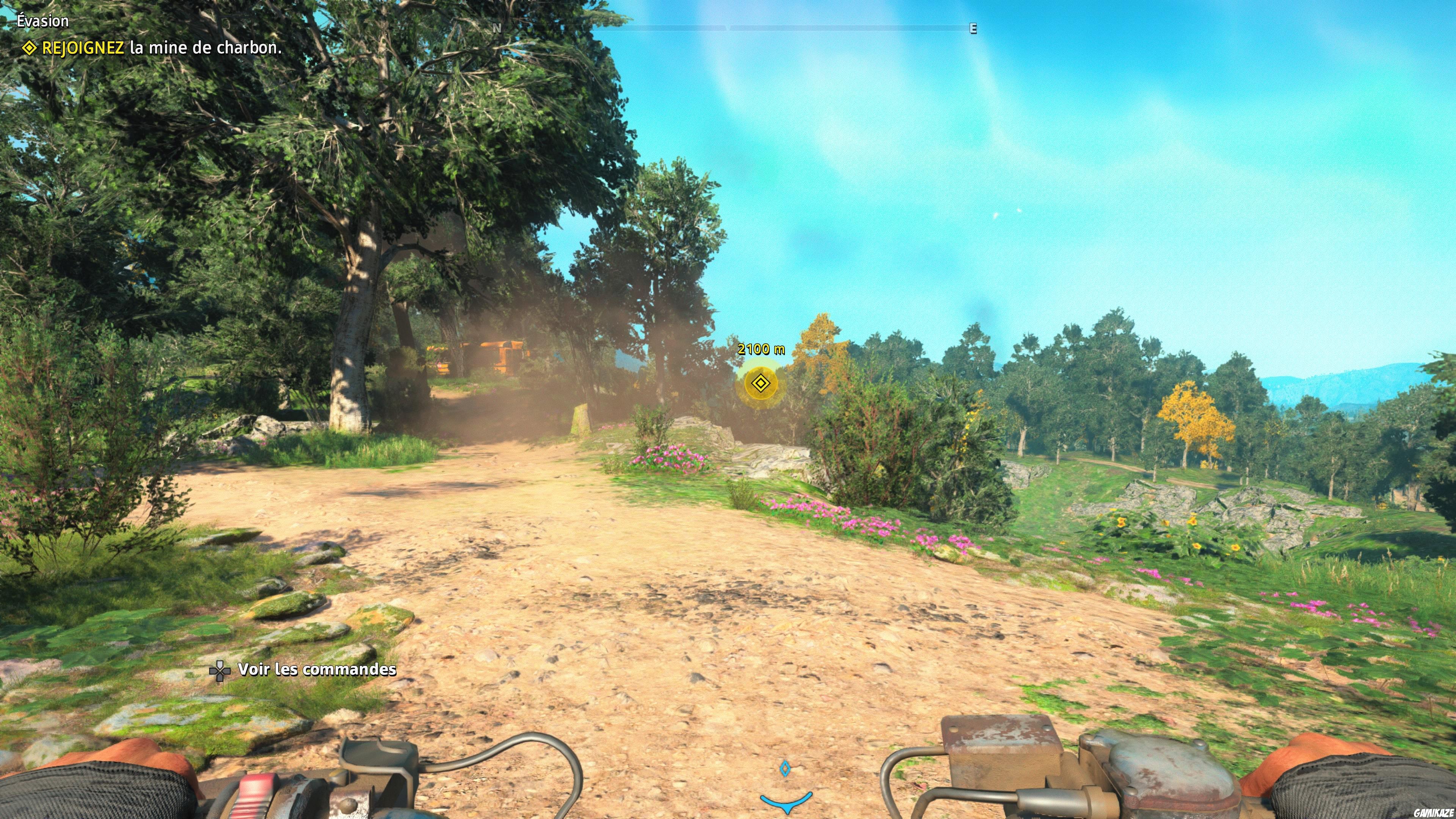 Far Cry : New Dawn