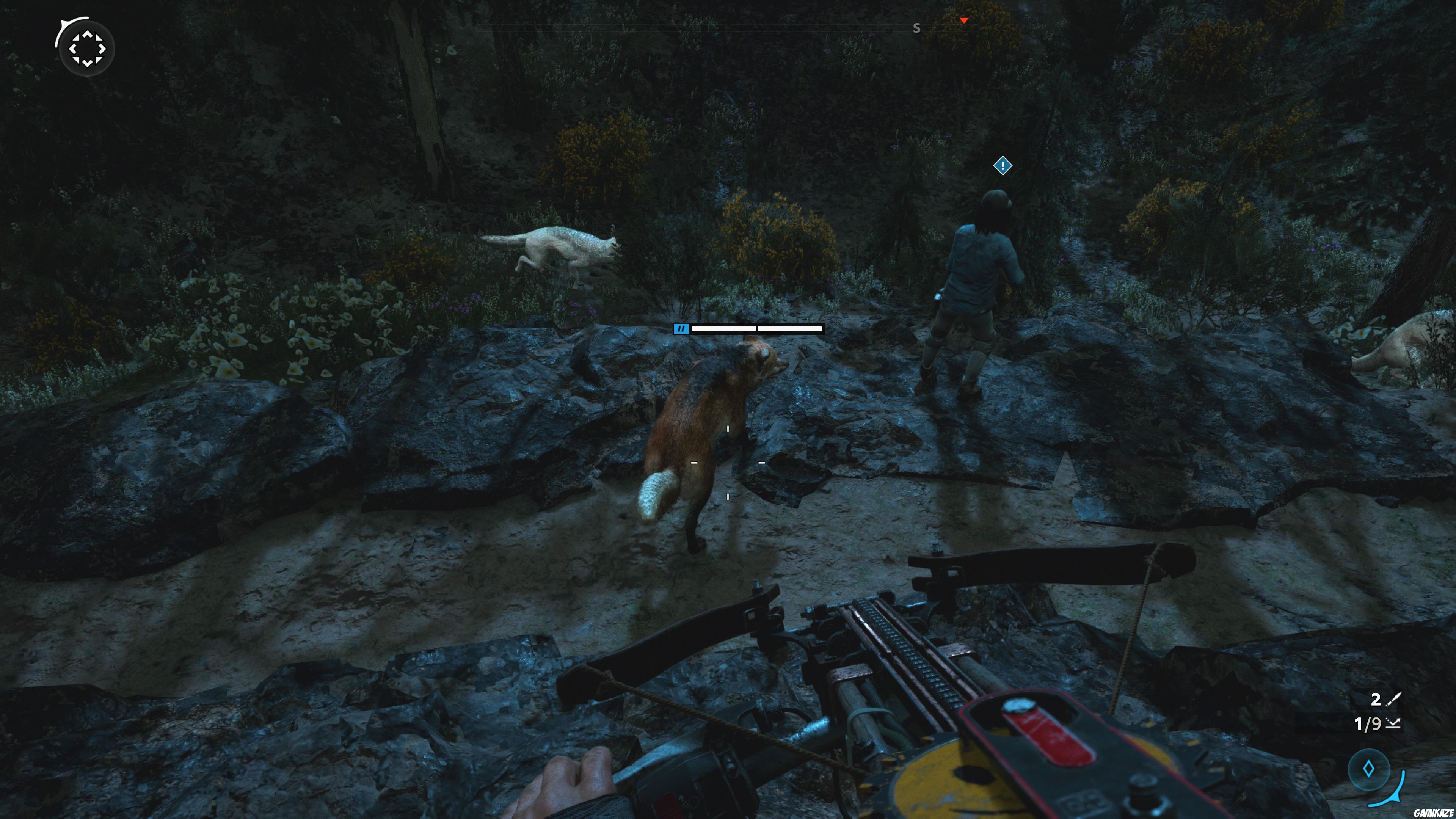 Far Cry : New Dawn