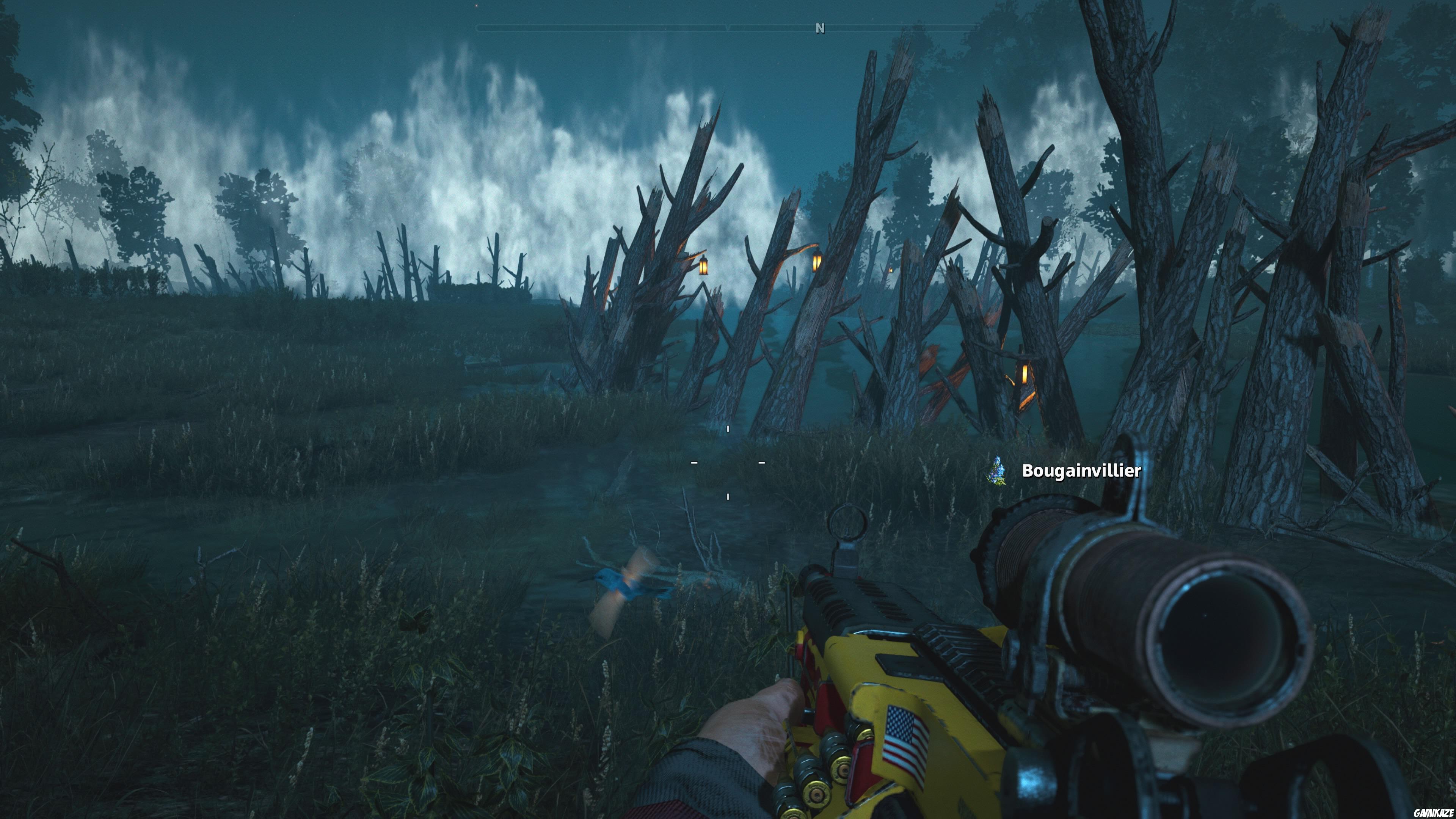 Far Cry : New Dawn