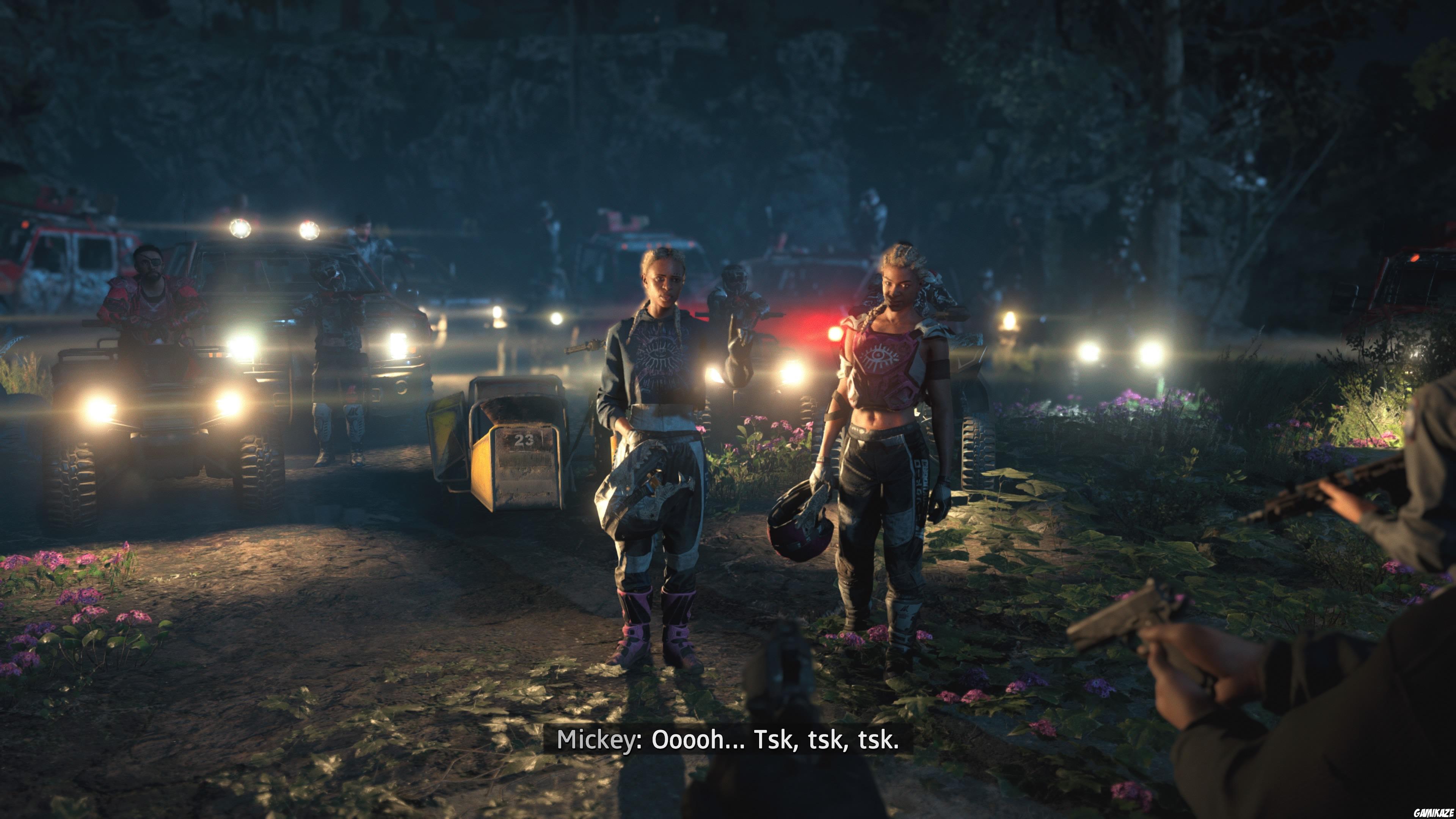 Far Cry : New Dawn