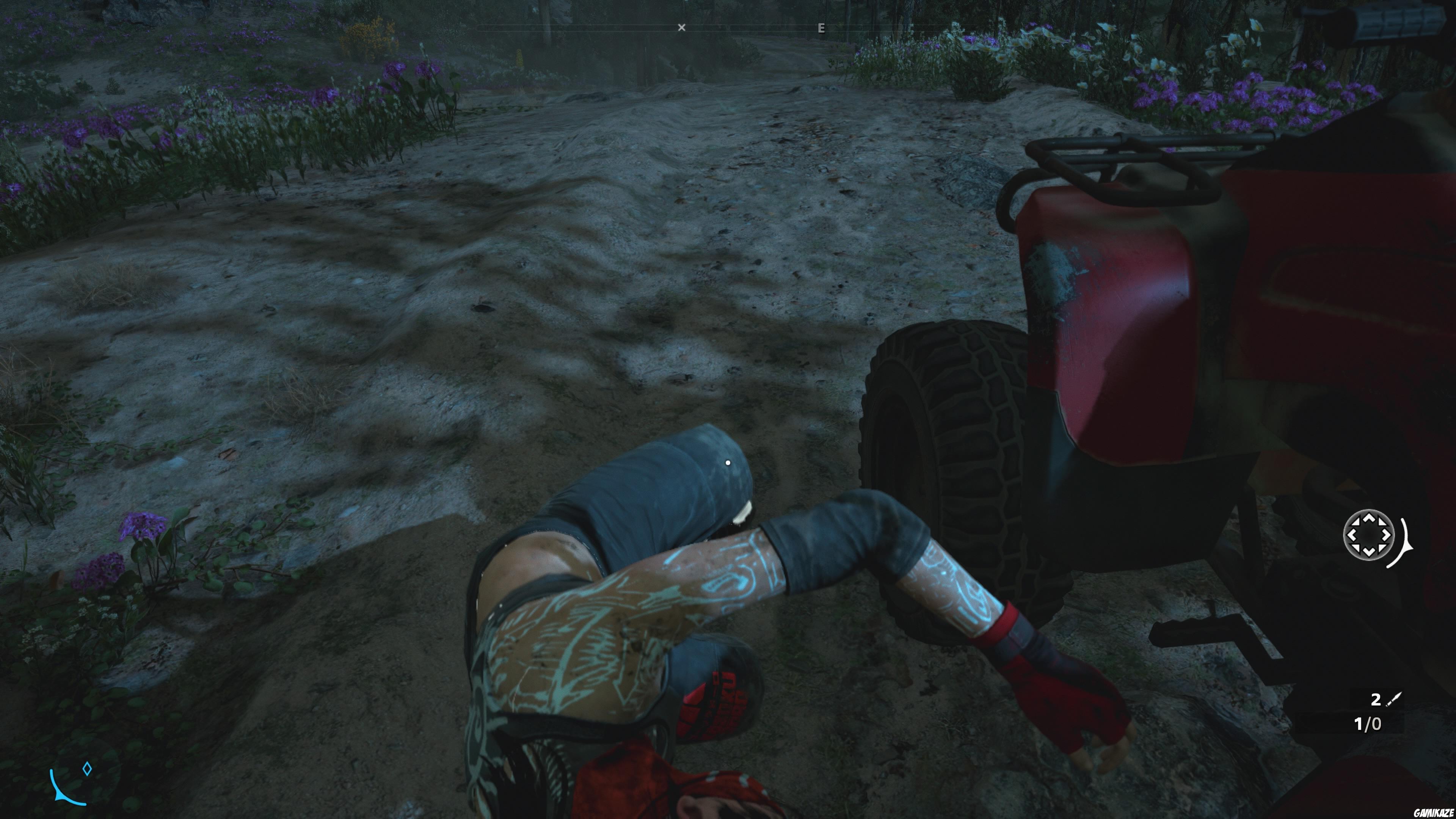 Far Cry : New Dawn